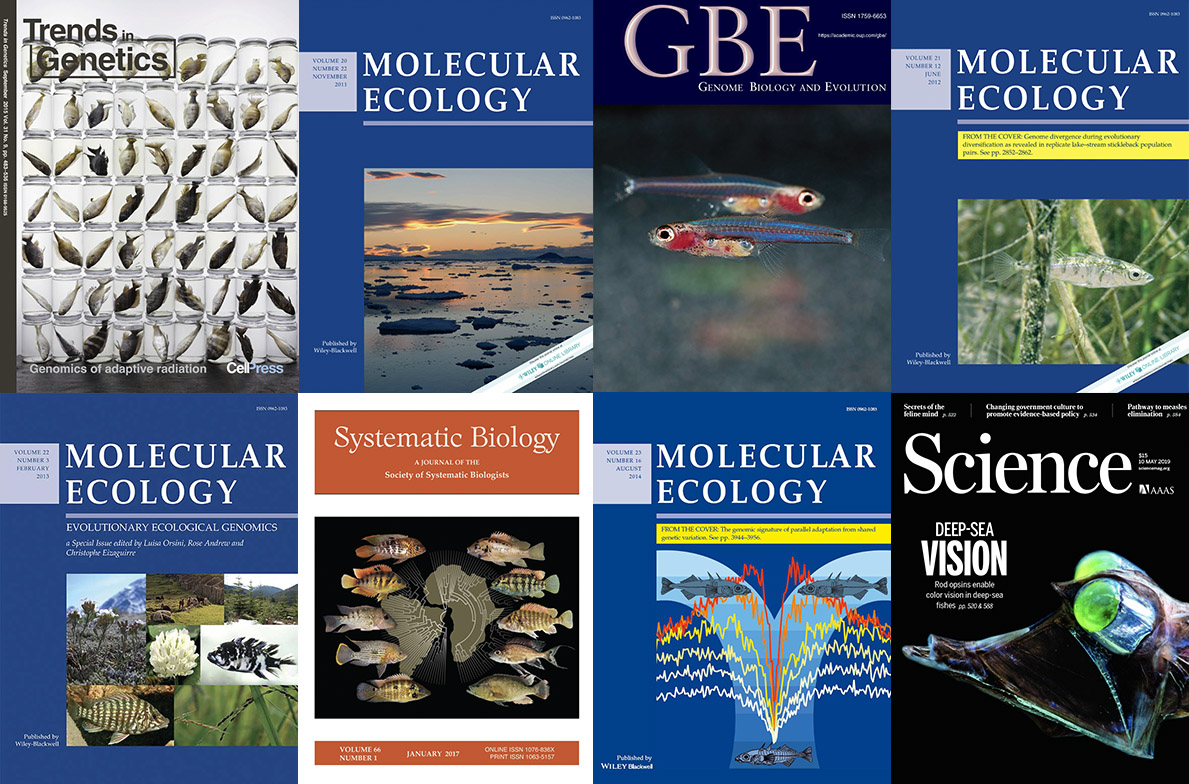 Recent Publications